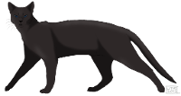 Crowfeather