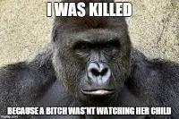 the harambe meme