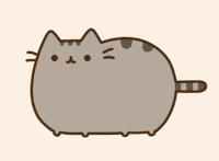 PUSHEEN!!!!!