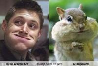 Dean AKA Squirrel