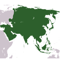 Asia