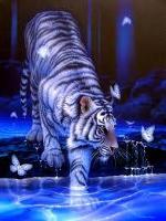 White Tiger