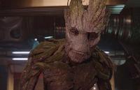 Groot