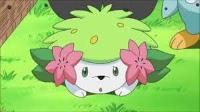 Shaymin