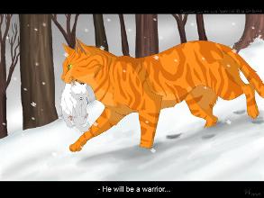 Warrior Cats Hard Quiz Scored Quiz