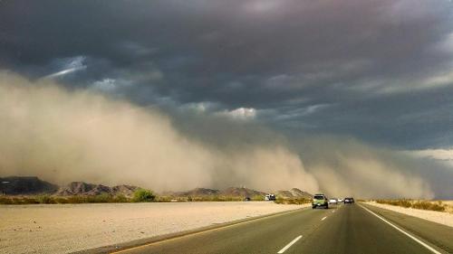 When driving in a dust storm, you should: