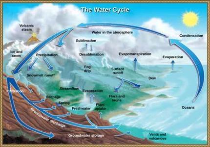 What is the main factor driving the water cycle?