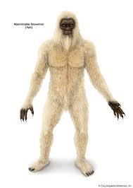 What is a Yeti traditionally believed to be?