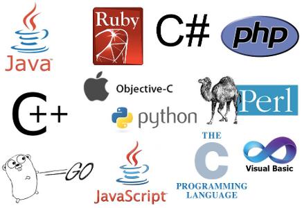 What programming language do you prefer?