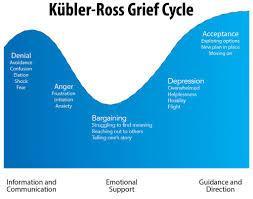 Which psychologist proposed the five stages of grief?