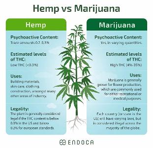 'Hemp' and 'marijuana' are both varieties of the Cannabis sativa plant.