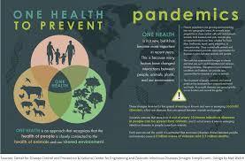 Which concept emphasizes the impact of disease on population distribution?