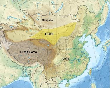 Which famous mountain range borders the Gobi Desert?