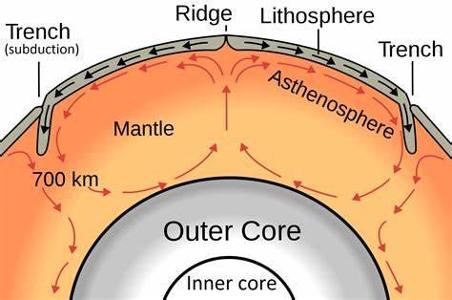 What is the term for the bending and tilting of rock layers caused by tectonic forces?