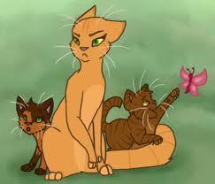 Who made fun of Fire-y apprentice when he first joined ThunderClan?