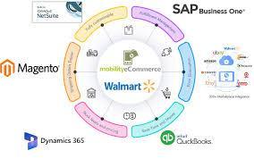 Which of the following is Walmart's e-commerce platform?