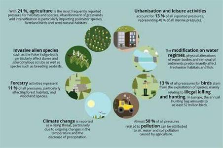 What is the process by which species evolve in response to environmental pressures over time?