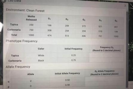 What is the recommended frequency for dental check-ups?