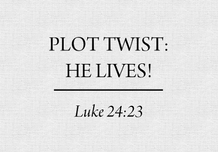 How do you feel about plot twists?