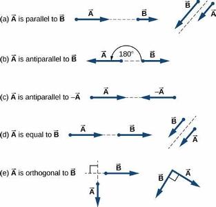 Which of the following is NOT a vector operation?