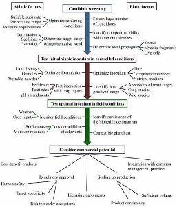 What is your preferred method of weed control?