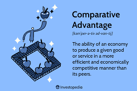 Which trade theory suggests that countries should specialize in producing goods where they have a comparative advantage?