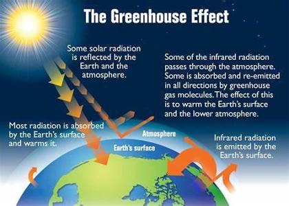 Which of the following gases is the main contributor to global warming?