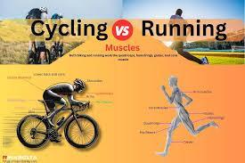 Biking can improve overall fitness levels and help in weight management. True or false?