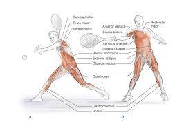 Why is it important to maintain an active stance at the net?