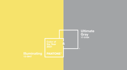 What is the color of the year 2021 according to Pantone?