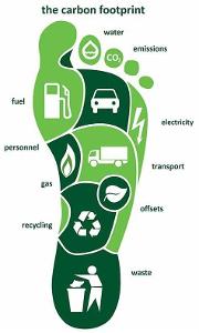 What is one way to reduce our ecological footprint?