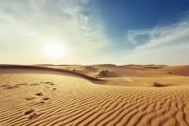 Which is the largest hot desert in the world?