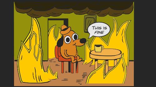 What animal is featured in the 'This Is Fine' meme where everything is on fire?