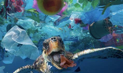 Which marine animal is most affected by plastic pollution?