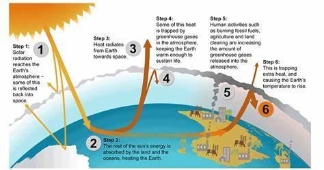 Which gas is primarily responsible for the greenhouse effect?