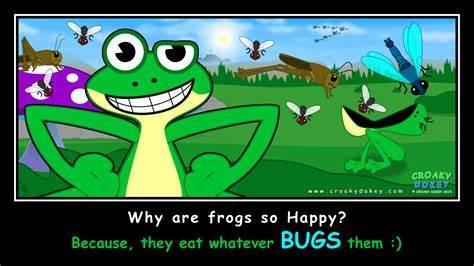 Why are frogs so happy?