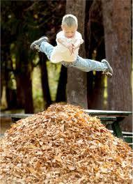 you make a pile of leaves at the park and some other kids jump in the pile before you can what do you do.