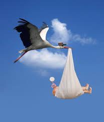 Which bird is often associated with delivering babies in myths?