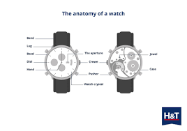 Which part of the watch is referred to as the 'crown'?