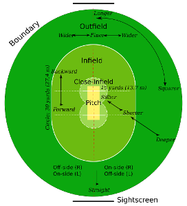 What is the standard size of a cricket ball (in centimeters)?