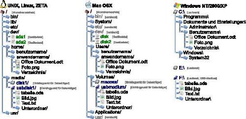 What is the file management system used in Windows operating systems?