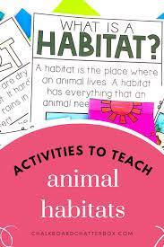 What's your favorite habitat?