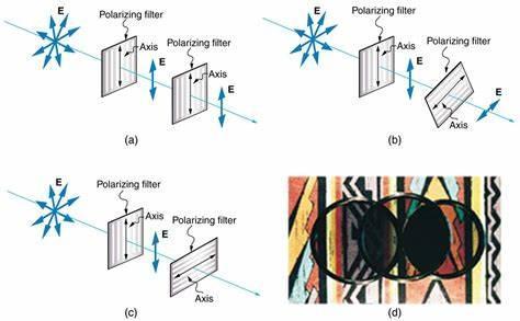 Polarized lenses are designed to reduce what type of light?