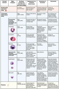 What is the function of red blood cells in the body?