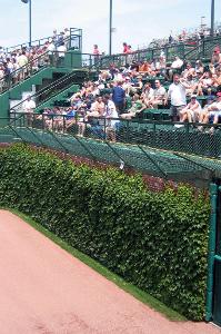 Which stadium has the famous ivy-covered outfield walls?