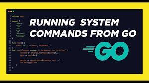 What is the purpose of the `go run` command?