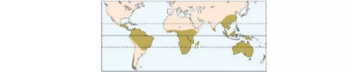 Na figura abaixo, está representada a atual distribuição geográfica de uma determinada família de plantas que têm a mesma origem evolutiva e estão presentes em todo o planeta há milhões de anos. Em estudos filogenéticos recentes, percebeu-se que as espécies sul-americanas diferem-se das africanas. O isolamento geográfico gera novas espécies, esse fenômeno recebe o nome de: