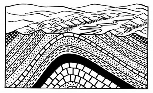 What term describes the bending or folding of rock layers due to tectonic forces?