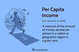 What does GDP per capita measure?