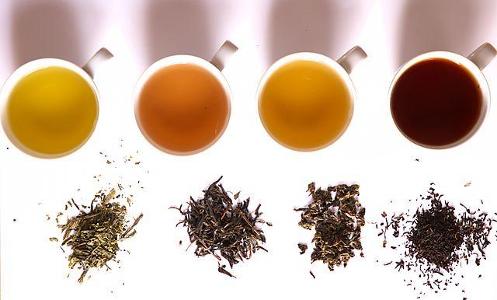 Which type of tea is fermented?